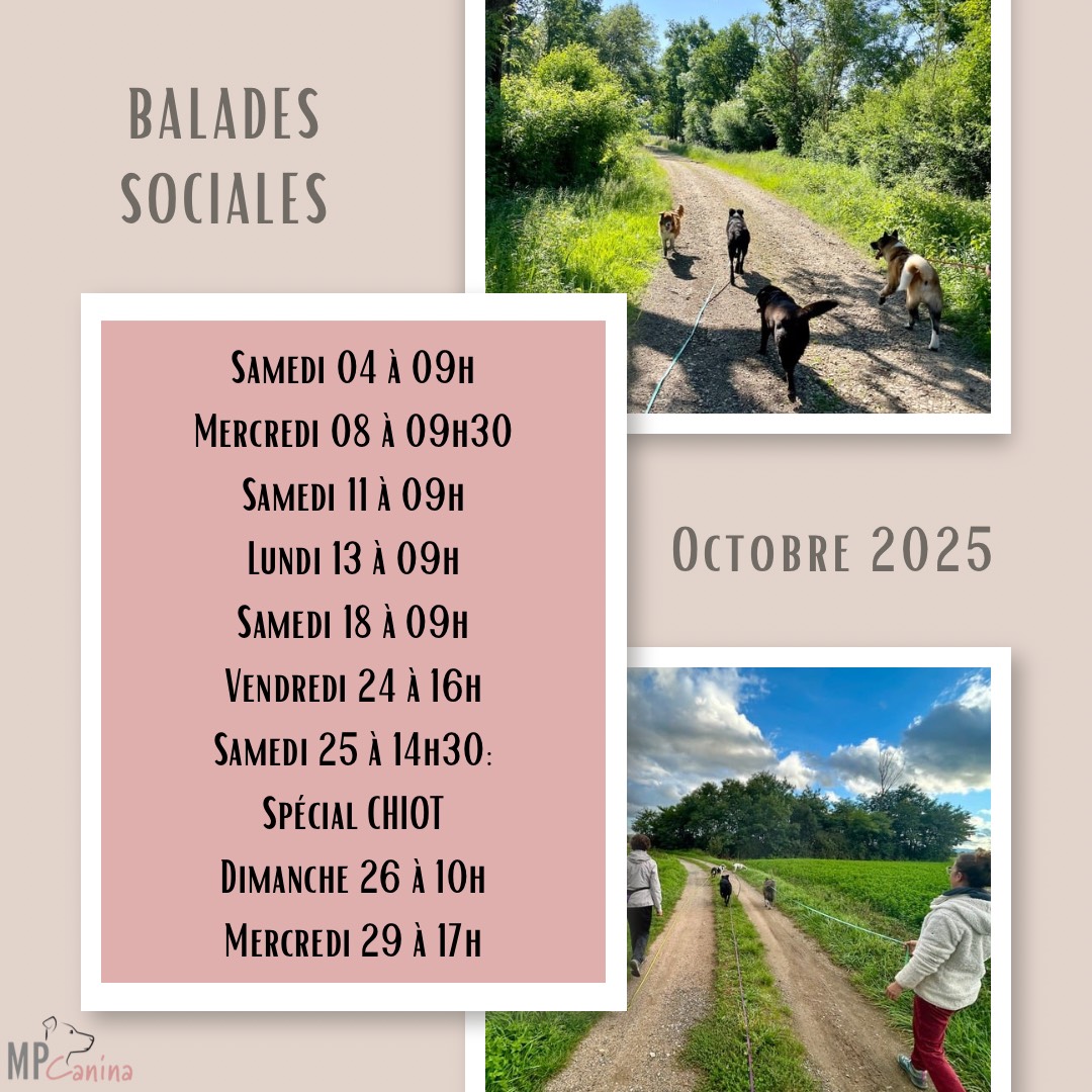 Balades sociales Octobre 2025